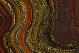 Polished Tiger Iron Stromatolite - Billion Years #129334-1